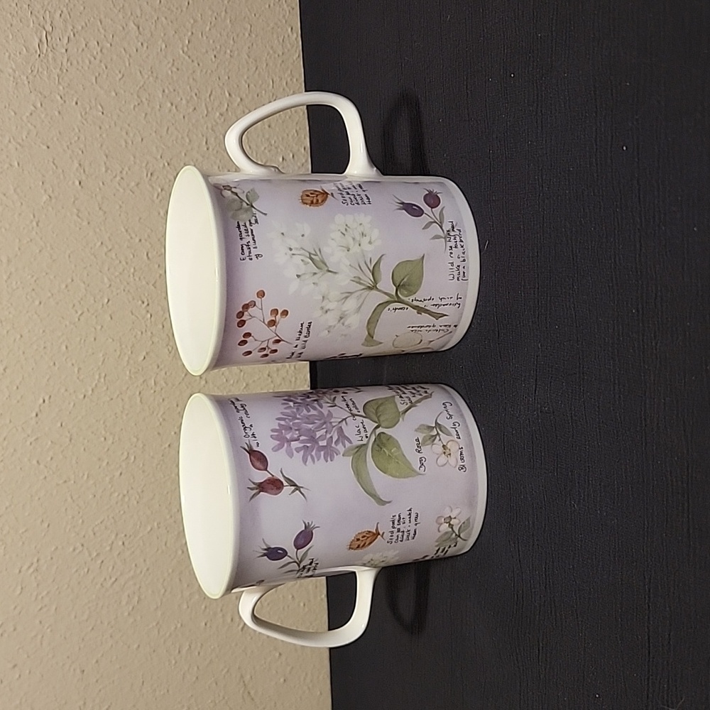 Vintage Rose Of England Bone China Tea/Coffee Mugs